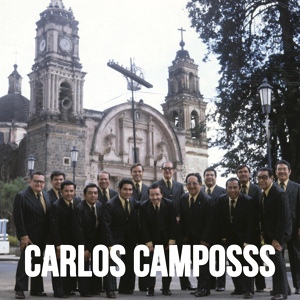 Обложка для Carlos Campos Y Orquesta - Por el Lado Soleado de la Calle