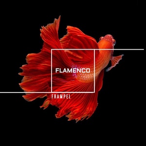 Обложка для FRAMPEL - Flamenco