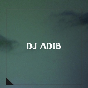 Обложка для DJ ADIB - Anak FF Nih Bos