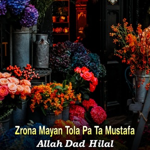 Обложка для Allah Dad Hilal - Somra Spesale Spin Kalam De