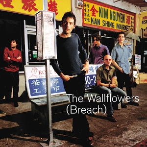 Обложка для The Wallflowers - Birdcage