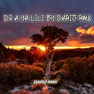 Обложка для Dariz RMX - DJ A Ya Lili