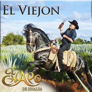 Обложка для El Chapo de Sinaloa - El Viejon