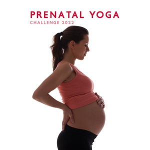 Обложка для Prenatal Yoga Music Academy, Prenatal Yoga Music Ensemble - Simple Serenity