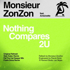 Обложка для Monsieur ZonZon - Nothing Compares 2 U