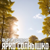 Обложка для Андрей Оршуляк - Слово и дело