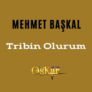 Обложка для Mehmet Başkal - Tribin Olurum, Pt. 2