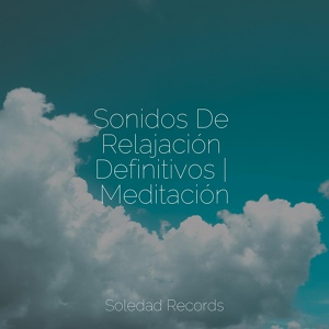 Обложка для Musica Relajante Para Estudiar, Ambiente, Academia de Relaxamento e Meditação - Podemos Volar