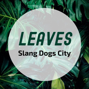 Обложка для Slang Dogs City - Dragonfly