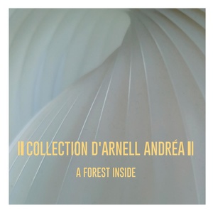 Обложка для Collection d'Arnell-Andrea - Lichen on My Name