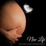 Обложка для Pregnancy Soothing Songs Masters - New Life