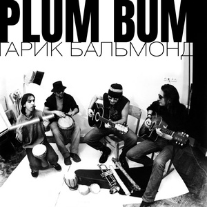 Обложка для PLUM BUM - Дура