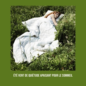 Обложка для Oasis de sommeil feat. Ensemble de Musique Zen Relaxante - Vent de sommeil
