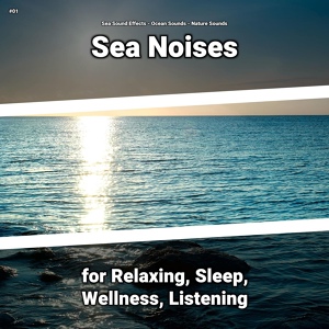 Обложка для Sea Sound Effects, Ocean Sounds, Nature Sounds - Sea Waves