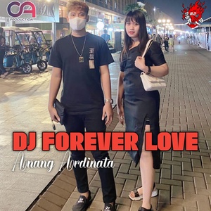 Обложка для DJ Ardinata - Dj Forever Love