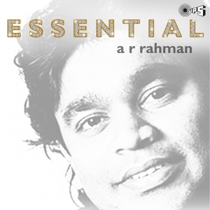 Обложка для A.R. Rahman feat. Sukhwinder Singh & Kavita Krishnamurthy - Ishq Bina Ishq Bina