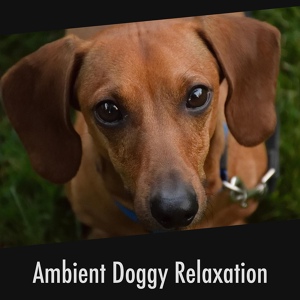 Обложка для Calming Puppy Relaxation - Dog Weekend Chillout Relaxation
