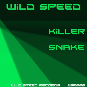 Обложка для Wild SpeeD - Some Place