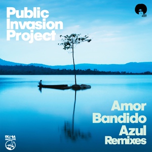 Обложка для Public Invasion Project - Amor Bandido