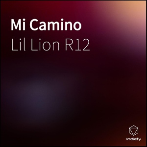 Обложка для Lil lion R12 - Mi Camino