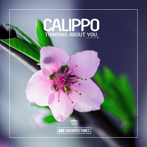 Обложка для Calippo - Thinking About You (Original Club Mix)