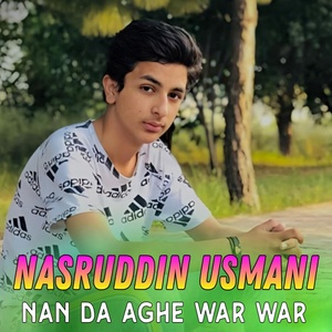 Обложка для Nasruddin Usmani - Na Razii Mala Zara
