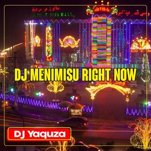 Обложка для DJ Yaquza - DJ Menimisu Right Now