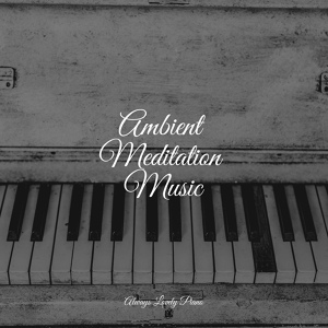 Обложка для Instrumental Piano Universe, Piano Relajante, Chillout Cafe Music - Soothing Meditations