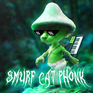 Обложка для HISTED, TXVSTERPLAYA - SMURF CAT PHONK