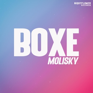 Обложка для Molisky - Boxe