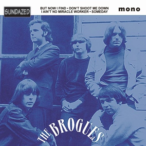 Обложка для The Brogues - I Ain't No Miracle Worker