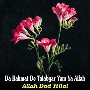 Обложка для Allah Dad Hilal - Da Rahmat De Talabgar Yam Ya Allah