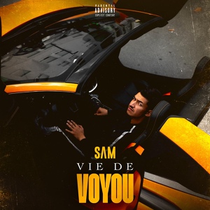 Обложка для SAM - Vie de voyou
