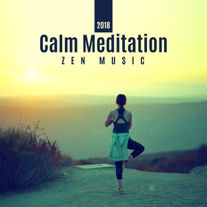 Обложка для Mindfulness Meditation Music Spa Maestro - Reiki Healing