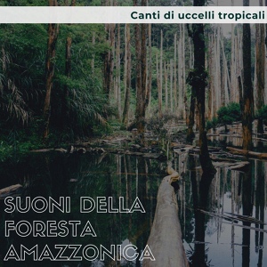 Обложка для Amazzone Verde - Unica al mondo