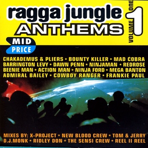 Обложка для Bounty Killer - Down In The Ghetto (Reel II Reel Jungle Mix)