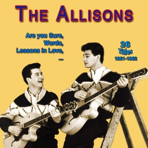 Обложка для The Allisons - Inside and Out