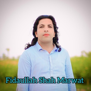 Обложка для Fidaullah Shah Marwat - Nasha Nasha Yma Zan