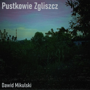 Обложка для Dawid Mikulski - Fałszywy Czas