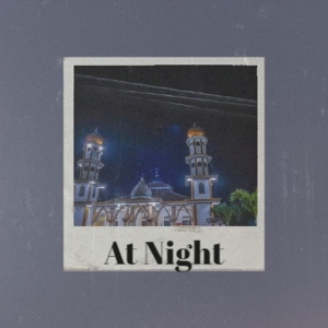 Обложка для The Orioles - At Night