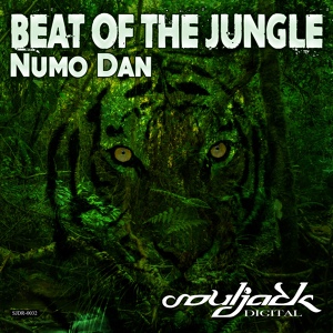 Обложка для Numo Dan - Beat of the Jungle