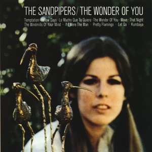 Обложка для The Sandpipers - The Windmills Of Your Mind