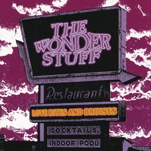 Обложка для The Wonder Stuff - Down Here