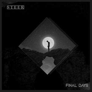 Обложка для STEER - Final Days