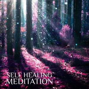 Обложка для Natural Healing Music Zone - Peacefulness Meditation