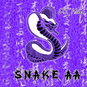 Обложка для DJ Had - Snake Aa