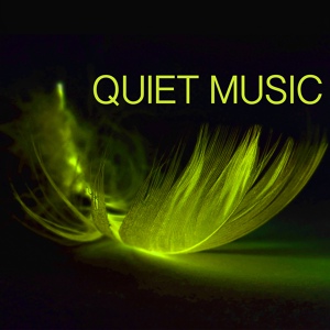 Обложка для Quiet Music Academy - Peaceful Music