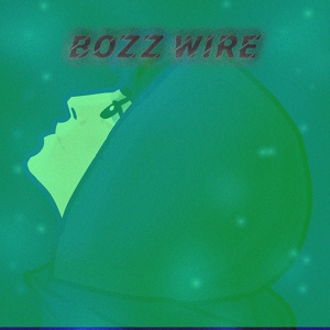 Обложка для BOZZ WIRE - Fuck Rap!*