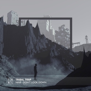 Обложка для NIN9 - Don't Look Down