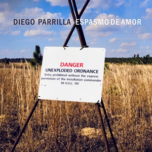 Обложка для Diego Parrilla feat. Joaquín Stevens - Domingo